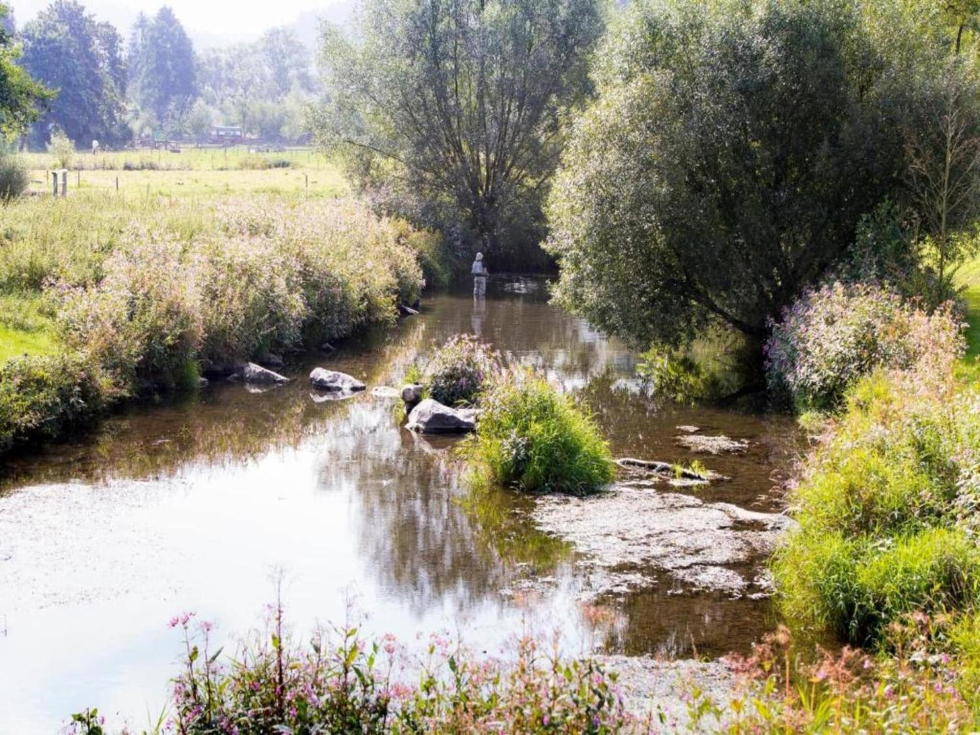 Furnished Bungalow With Peaceful Neighbourhood Meschede Zewnętrze zdjęcie
